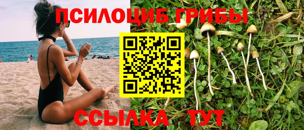 Ленинск-Кузнецкий  Галлюциногенные грибы Psilocybe  Вход с VPN 