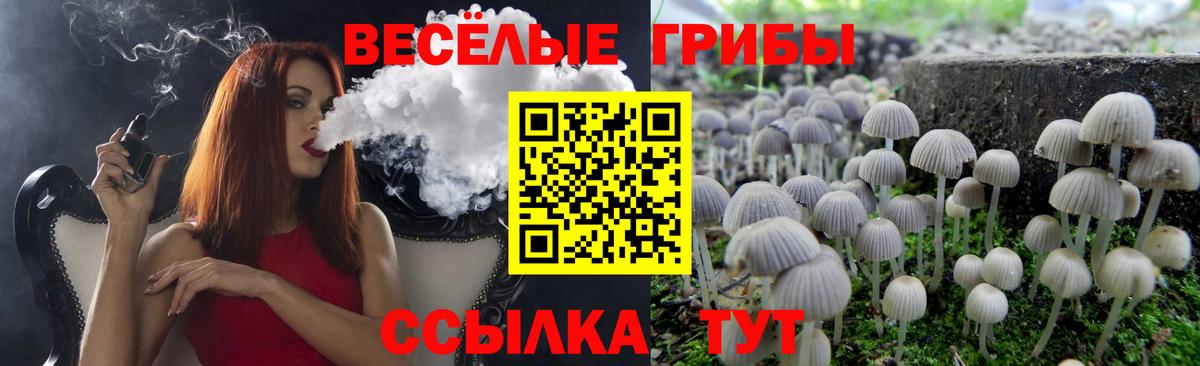 Псилоцибиновые грибы Magic Shrooms Ленинск-Кузнецкий